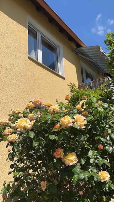 דיסבורג Duesseldorf Messe And Airport, 2-Bedroom Apartment With Kitchen And Garden מראה חיצוני תמונה