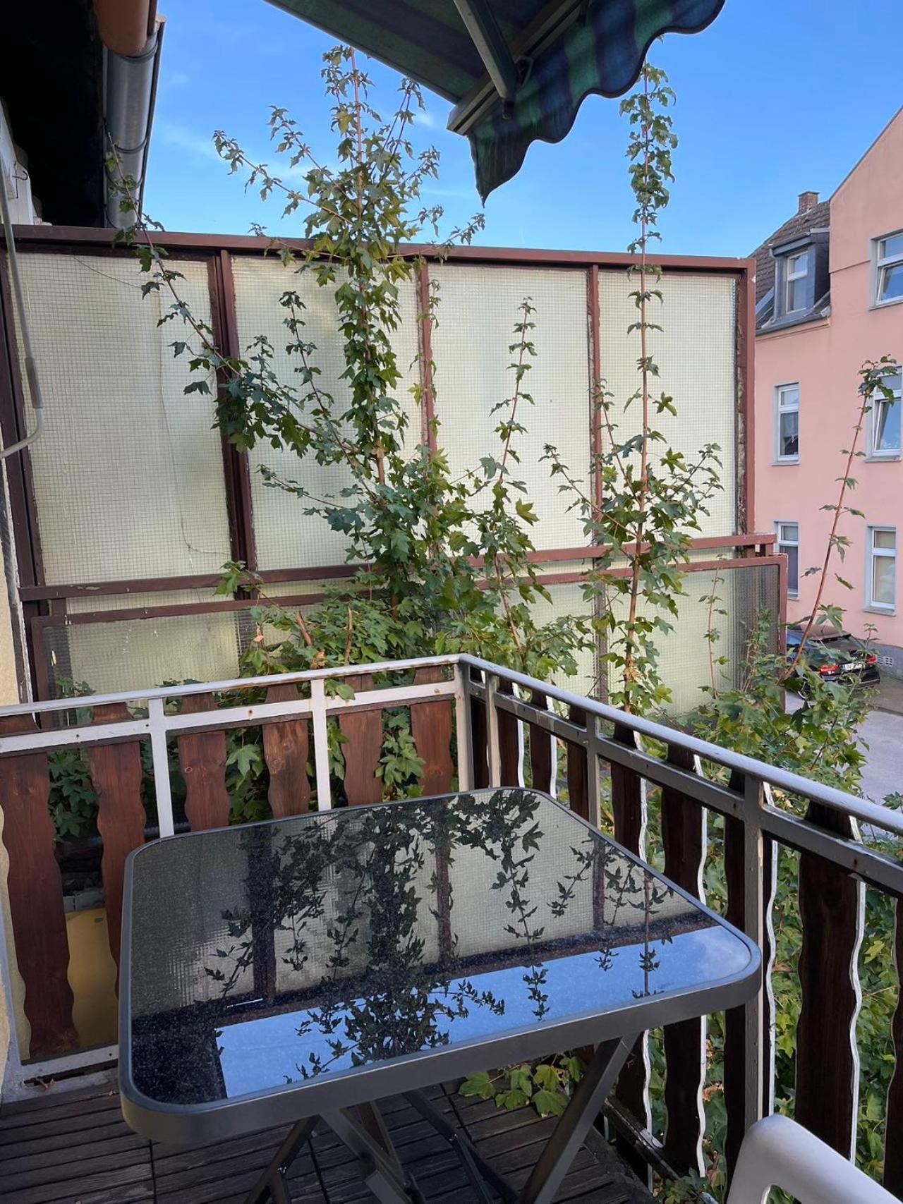 דיסבורג Duesseldorf Messe And Airport, 2-Bedroom Apartment With Kitchen And Garden מראה חיצוני תמונה